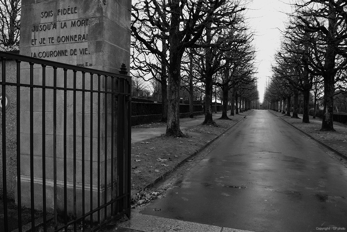 Flâneries Necropolitaines