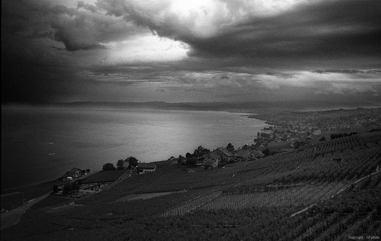 Lavaux